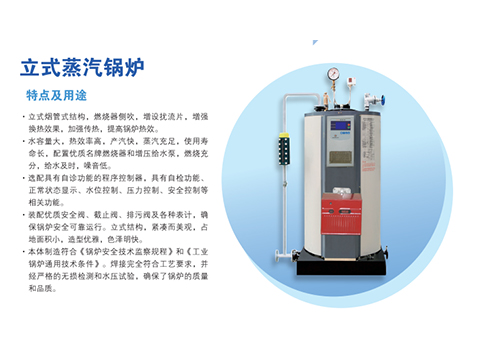 立式蒸汽锅炉